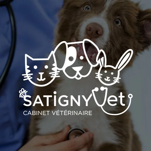 Satigny Vet – Identité visuelle et supports de communication
